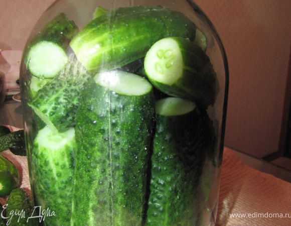 укладываем огурцы так, чтобы до крышки банки оставалось 6-7 см, иначе, впитав часть рассола, огурцы окажутся без заливки. Огурцы сюда подойдут чем крупнее, тем лучше. Переростки в самый раз!!!