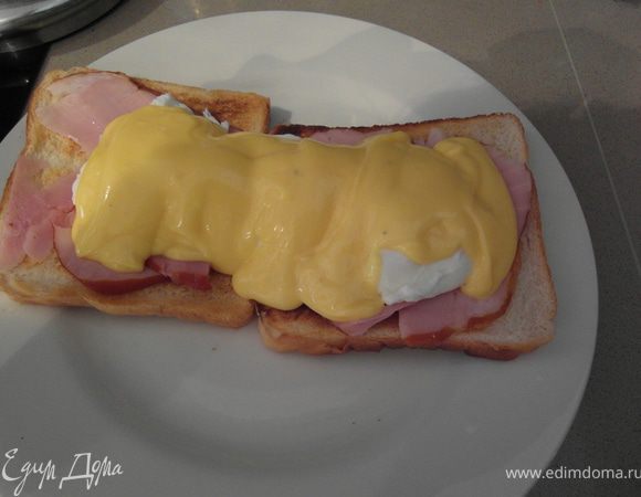 Кстати, Голландский соус употребить нужно сразу после приготовления (еще теплым), т.е. "на завтра" его оставлять нельзя. Посему, он и не продается в магазинах, хотя есть, но это его подобие, и он совершенно не похожь на НАСТОЯЩИЙ Голландский соус, рецепт которого приведен выше. Этот соус также подходит мясным блюдам и бутербродам.