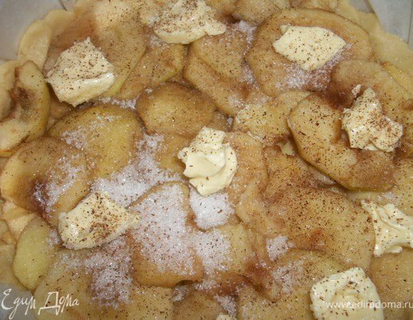 Яблоки выложить по кругу так, чтобы они немножко заходили друг на друга и закрыли весь корж.Посыпать сверху сахаром, разложить  кусочки масла(оставшееся), посыпать корицей.Украсить тестом.  