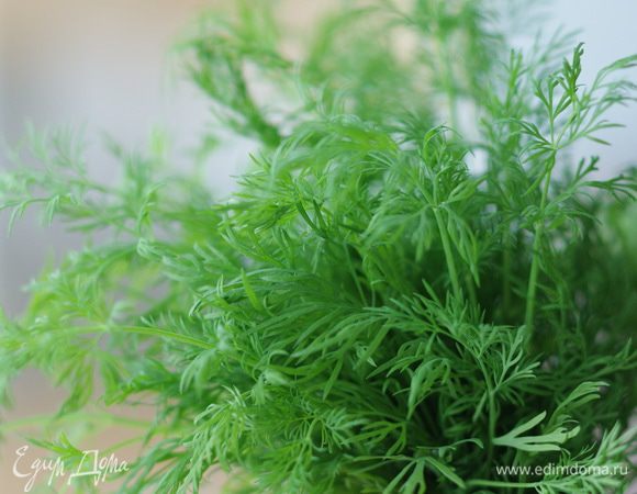 Укроп мелко порубить.