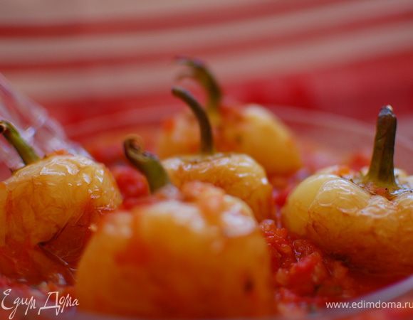 Готовые перцы  выкладываем в блюдо.Сверху заливаем томатную заправку.
Эту закуску можно подавать и горячей и холодной.Приятного аппетита!