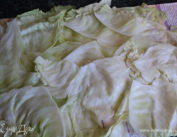 Ошпаренный и слегка проваренный кочан капусты разобрать на листья, срезать и слегка отбить утолщения.
Листья капусты разложить на полотенце в виде полоски, так что бы листья находили один на другой, 
