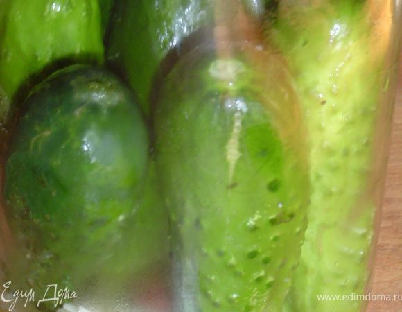 Стерилизуем банки и крышки. Моем огурцы, складываем их в миску и обдаем кипятком. Подготавливаем все специи и заливаем кипящей водой, даем постоять 15-20 минут.
 На дно банок кладем специи (это на Ваш вкус), сверху выкладываем ряд огурцов.