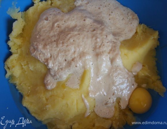 в картофельное пюре влить опару, добавить яйцо, растительное масло, щепотку соли и все перемешать