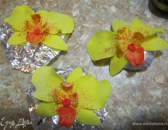 Дать хорошо высохнуть.