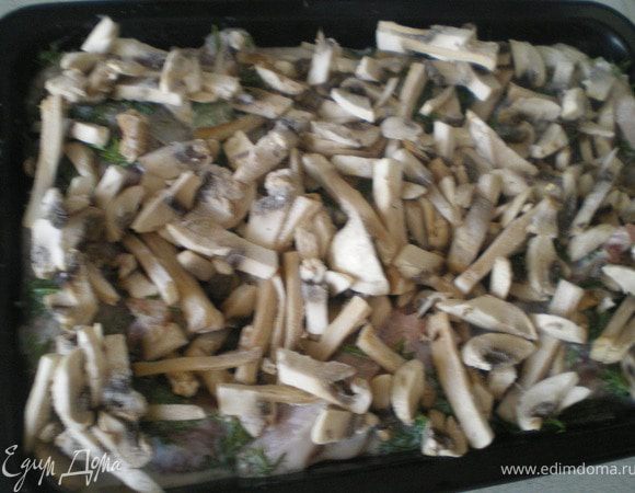 Уложить рыбу в противень, сверху выложить нарезанный полукольцами лук и грибы.