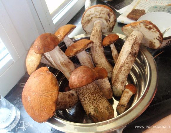 Вот они какие красивенькие, подосиновики!