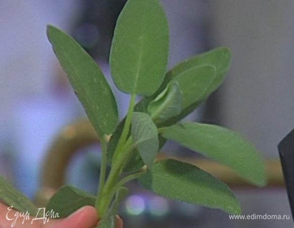 Оставшиеся листья шалфея мелко порубить.