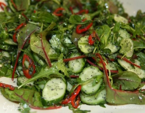 Листья салата выложить на блюдо, слегка посолить, сбрызнуть оставшимся оливковым маслом и уксусом, сверху на листья выложить заправленные огурцы с чили.  

