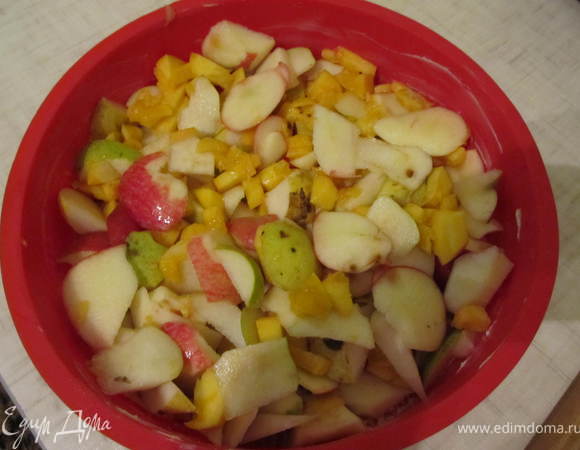 Форму смазать сливочным маслом, посыпать сухарями и выложить перемешаные фрукты.