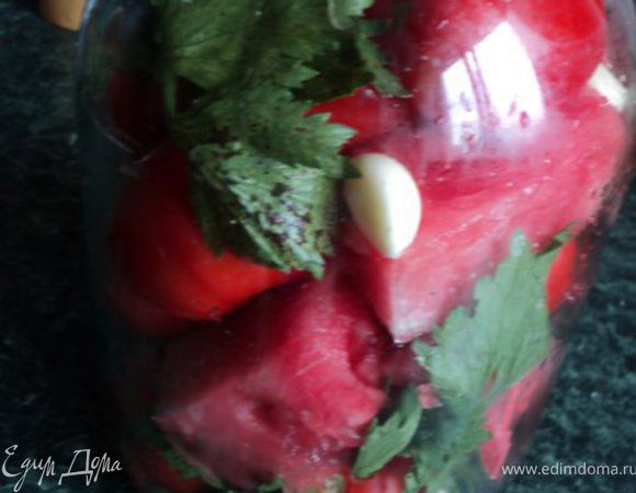 В 3-х литровую банку положить на дно несколько зубков чеснока, веточки сельдерея, затем слоями помидоры и нарезанный крупными кусками арбуз. Сверху сельдерей и чеснок.