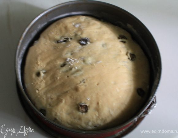 Духовку разогреть до 220-230 градусов, противень или форму посыпать мукой. Готовое тесто ОЧЕНЬ АККУРАТНО, избегая лишних ненужных контактов и ни в коем случае НЕ МЕСИТЬ, выкладываем в форму или на противень, можно разрезать на батоны острым ножом. Оставляем на расстойку примерно на час, накрыв полотенцем. Для того, что бы чиабата была с хрустящей корочкой, ставить ее нужно в горячую духовку. через 10-15 минут температуру можно уменьшить. Готовиться чиабатта 20-30 мин. (тут зависит от формы и духовки и теста). Проверяем на всякий случай готовность спичкой. И наслаждаемся вкусом домашнего хлеба))))