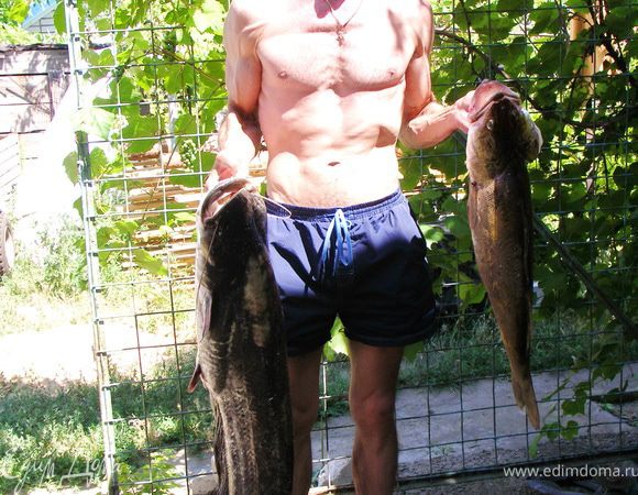 Того сом,что пошёл на котлеты,я не сфотографировала...А вот этот немного поменьше..8кг по моему...