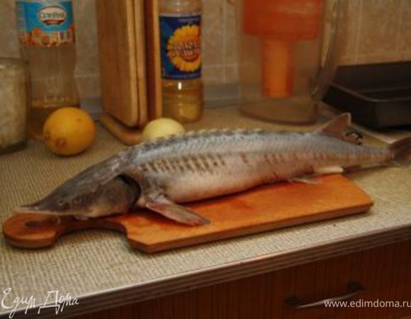 В данном случае использовалась рыба весом 950 г — весьма крупная. Помойте ее и выпотрошите. Чистить осетровые, я вам скажу, дело сложное, срезать вкуснейшую кожу совсем не хотелось. Я использовал способ, вычитанный в интернете: рыба выкладывается в поддон и несколько раз обдается кипятком из чайника. После этого чешуя чистится легко.