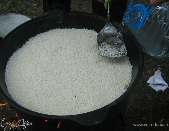 Выложите ровным слоем рис.