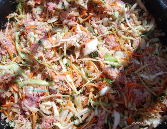 Все перемешать с мясом, посолить, поперчить, и хорошо перемешать, добавить полстакана бульона или воды