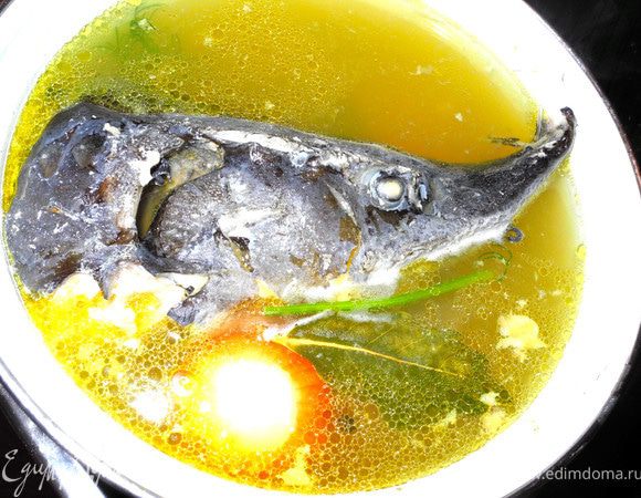 Хорошенько промыть голову осетра, удалить жабры. Залить холодной водой и на медленном огне довести до кипения. Добавить соль, половинку моркови, лук, стебельки петрушки и укропа,лавровый лист и перец горошком. 