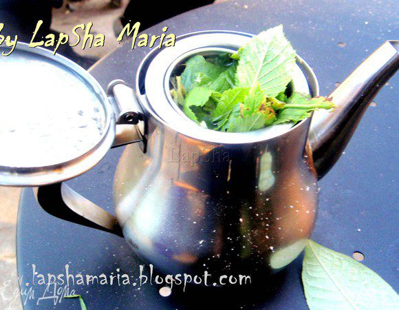 Кстати, чай у нас был тоже необычный. Мы в него добавили листочки черной смородины и малины, которые сорвали в огороде. Я и представить себе не могла какой ароматный и вкусный чай с ними получается!