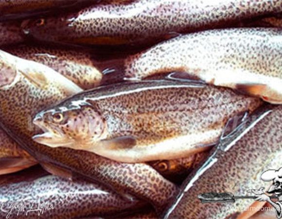 Подготовьте рыбу, зелень и лимон.