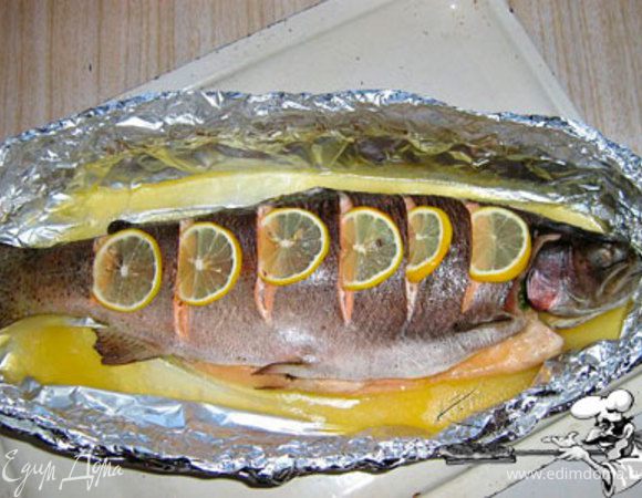 Надрежьте ножом и лимон вложите (кожуру желательно с него снять — горчит). Смажьте сверху оливковым маслом. 