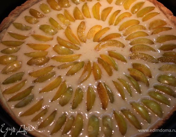 Вылить начинку на испеченное тесто. Разложить дольки слив по кругу и выпекать 50-60 минут.