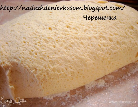 Положить тесто в миску, смазанную оливковым маслом, затянуть пленкой и поставить в теплое место на 40-60 минут, так чтобы тесто увеличилось в объеме в 2 раза…