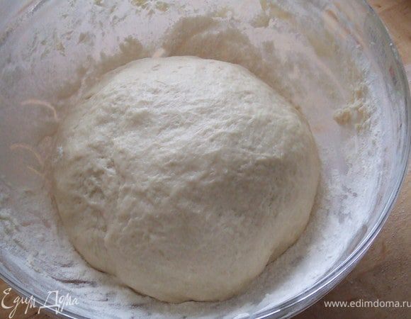 в глубокую миску просеять 1 стакан муки, затем добавить опару, растительное масло и соль, и остальную муку. Замесить тесто, оно  должно не липнуть к рукам. и отставит его в теплое место на 40 мин.