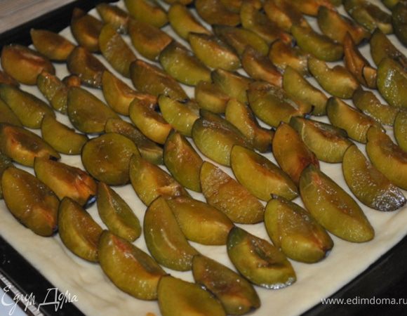 Тесто тонко раскатать на большом противне. Уложить сливы ровным слоем.