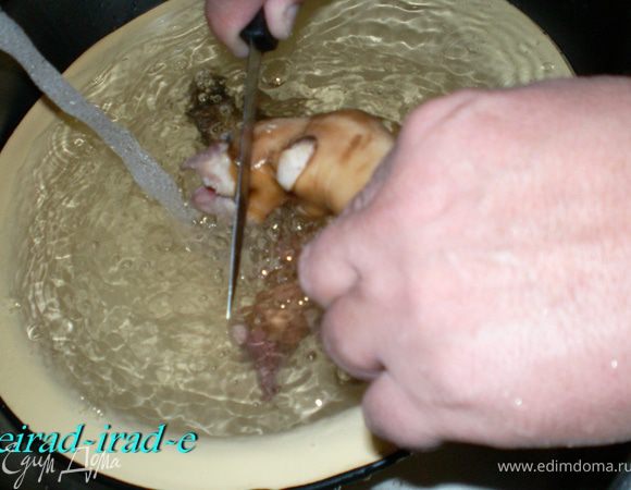 Скоблят, чистят,
моют