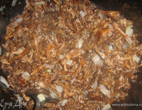 Опята перебрать,вымыть и отварить до готовности в под солёной воде.Откинуть на дуршлаг.В казане разогреть раст.масло обжарить мелко нарезанный лук,чеснок,добавить отварные грибы и тушить до выпаривания жидкости помешивая на слабом огне минут 15-20.