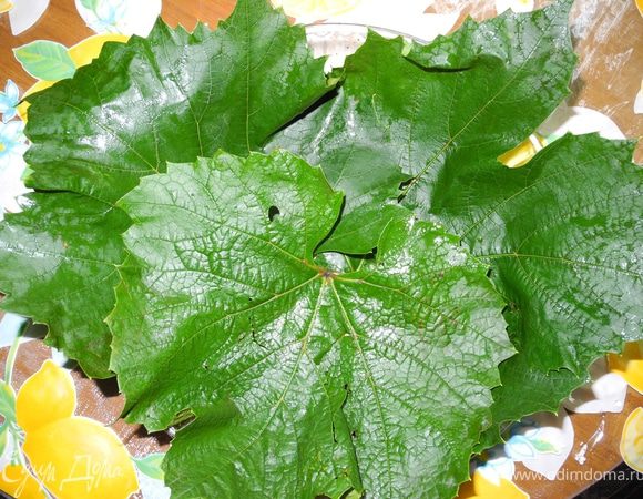 Уложить на дно формы виноградные листья.