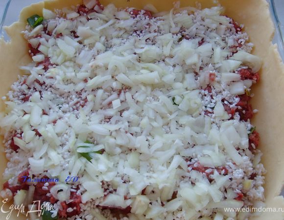 Лук вместе с бульоном