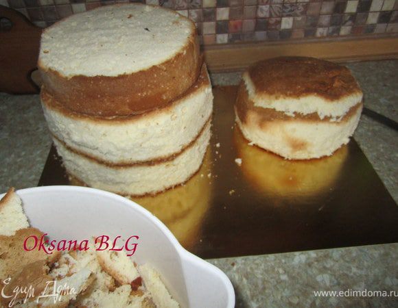 Каждый бисквит разрезать на 2-3 коржа. Обрезать немного бока придав форму туловища и головы. Обрезки оставить для крошки-картошки.))