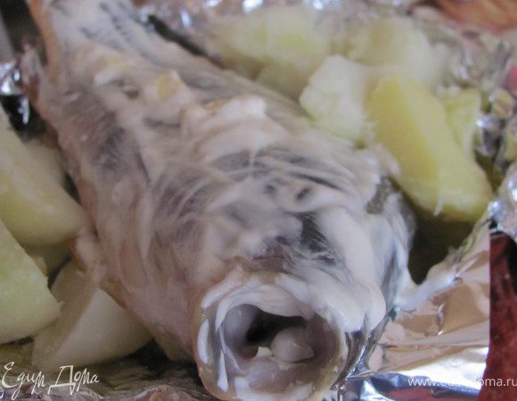 Карпа почистить, выпотрошить, помыть. Натереть белым перцем, паприкой, солью о оставить на 10-15 минут.
Лук порезать полукольцами, морковку соломкой, чеснок измельчить - всё обжарить на растительном масле. Нафаршировать этой смесью карпа, сверху рыбку смазать сливочным маслом. 
Картофель очистить, нарезать дольками и отварить до полу готовности. 
Форму выложить фольгой, смазать растительным маслом и выложить на фольгу рыбу, вокруг уложить картофель, посолить немного и смазать всё сметаной. Запекать в духовке примерно 30 минут.
ПРИЯТНОГО АППЕТИТА!!!