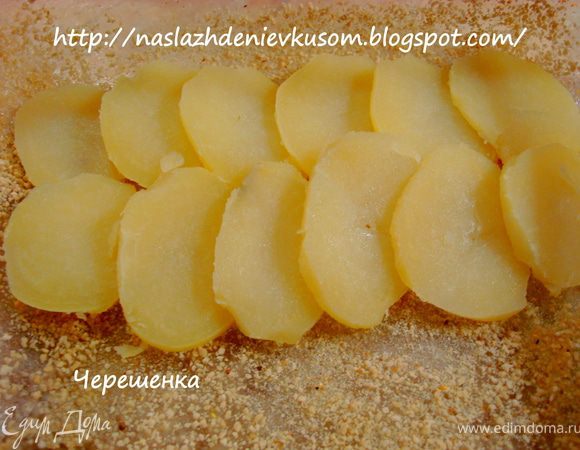 Выложить в смазанную маслом и присыпанную сухарями форму рядами, немного внахлест друг на друга…