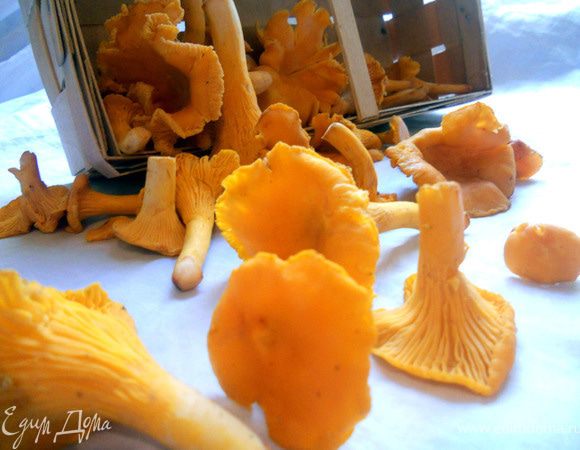 Лисички очистить от грязи/либо быстро промыть. Обжарить на сухой сковороде несколько минут, затем слить лишнюю жидкость, добавить немного оливкового масла и готовить еще некоторое время. Отобрать горсть красивых грибов, остальные измельчить. 