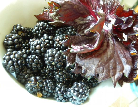 5. Готовим начинку. Сверху у нас будет ежевика и фиолетовый базилик