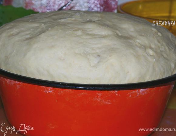 Вот так у меня поднялось тесто за 2 часа.