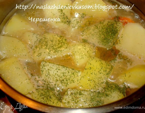 А теперь займемся специями… Грибной аромат так хорош, что очень жалко его забивать другими запахами, поэтому я добавила немного сушеного укропа, совсем чуть-чуть белого перца и мускатного ореха… Я считаю, что эти специи только усилят и ненавязчиво оттенят аромат грибов…