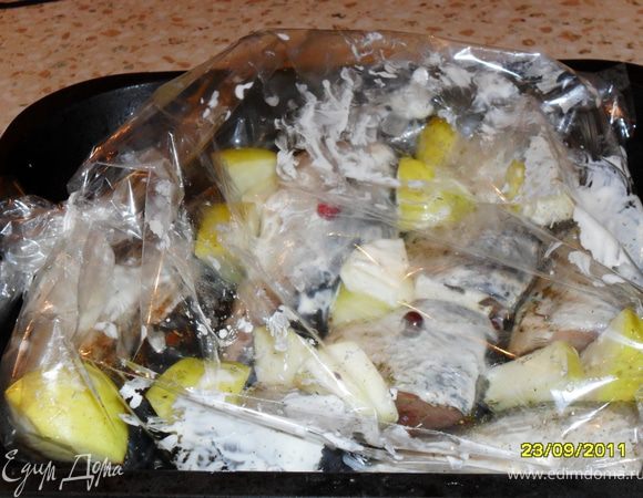 Каждую скумбрию выпотрошить, почистить, помыть и порезать на 3 части. Выложить кусочки рыбки в пакет для запекания, посолить по вкусу, посыпать специями (базилик, имбирь, укроп), сбрызнуть лимонным соком. У яблок удалить сердцевину, порезать дольками. Кусочки яблока выложить между кусочками рыбы. Всё хорошо промазать майонезом, положить сверху ягоды клюквы. Поставить форму в разогретую духовку и выпекать 50 мин.при температуре 180-200. Подавть можно как в горячем, так и в холодном виде.