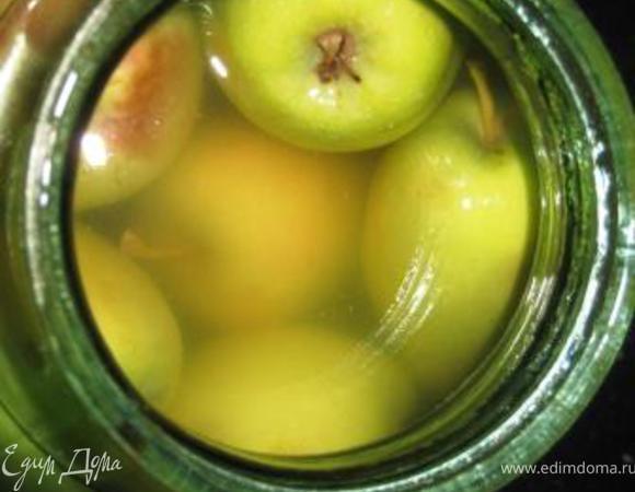 На дно банки положить неск. листиков вишни (2-3). Уложить яблоки на 2\3 банки, они потом впитают рассол и если уложить до верха, то часть яблок будет не покрыта. Ингредиенты для рассола прокипятить, остудить, залить яблоки и закрыть капроновой крышкой. Я храню до морозов на балконе, можно в погребе. Готовность проверить месяца через 2. Может уйти и 3 месяца, зависит от сорта яблок и температурного режима. Если заготовите сейчас, то на Новый год на столе будет отличнейшая закуска. Приятного аппетита!