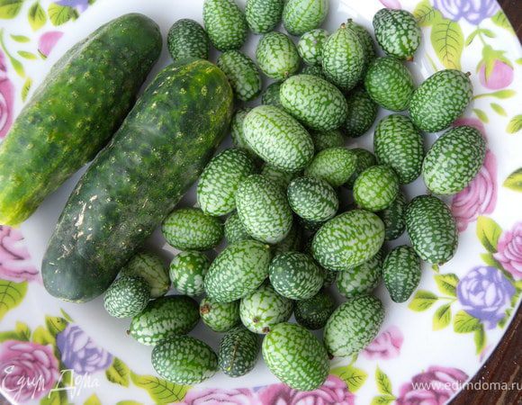 1. Овощи хорошенько вымыть. Банки тоже...