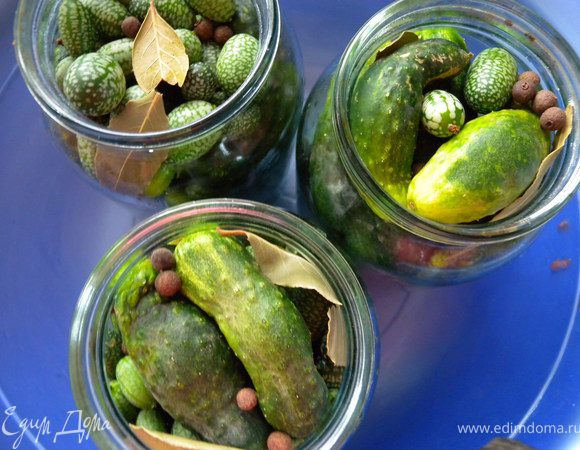 2. Сложить огурцы плотно в литровые баночки. Так же и чищенный чеснок, лавровый лист, душистый перец, листья вишни, хрена... (то, что вы используете при солении обычных огурцов)