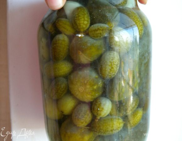 5. Закрыть жестяными крышками ключом. Банки не кипятить и не стерилизовать. Перевернуть вверх дном и накрыть теплым одеялом или курткой до полного остывания. Затем перенести в холодную кладовку или погреб до востребования. Приятного аппетита. Очень интересно такими вот огурчиками украшать новогодние блюда :-)