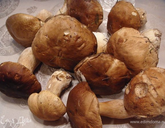 Отобрать наиболее крупные белые грибы.