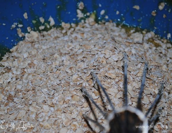 Добавить овсянку