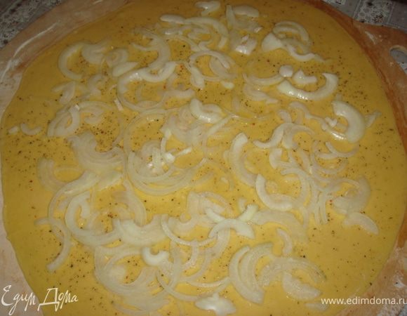 Лук порезать полукольцами и распределить по пластам.