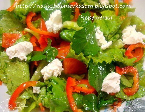 Выкладываем в миску салат, заправляем его и хорошо перемешиваем. И только после этого аккуратно, ложечкой, выкладываем козий сыр… Получился очень гармоничный и низкокалорийный салат. Есть его – одно удовольствие!!!
