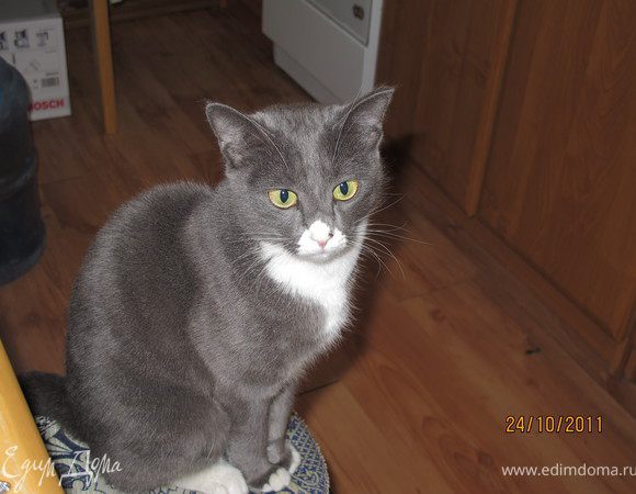 Пока я отвернулась и резала лук (а столовый стол у меня за спиной) вот эта Маруся стащила у меня со стола кусок рыбы. Я её поймала в полёте, когда она прыгала со стола с рыбой в зубах на пол.