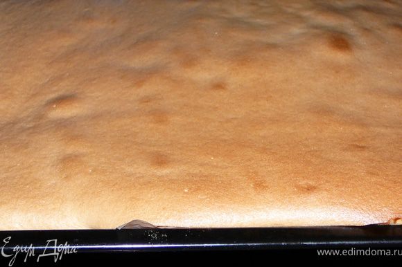 Выложить тесто на выстланый пергаментом противень и выпекать в заранее разогретой до 200с.духовке около 8-10минут.